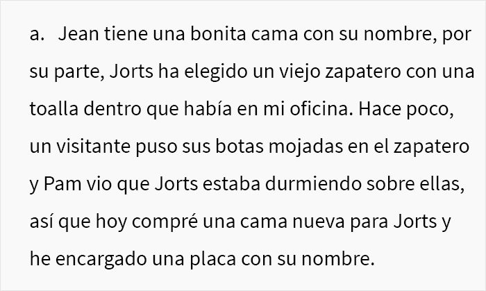 Este hombre hizo llorar a su compañera de trabajo por llamar “tonto” a uno de los gatos de la oficina, y el problema acaba involucrando a RR.HH