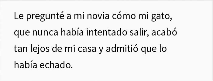 Esta mujer recibió su merecido tras echar de casa al gato de su novio mientras él no estaba