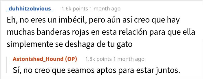 Esta mujer recibió su merecido tras echar de casa al gato de su novio mientras él no estaba