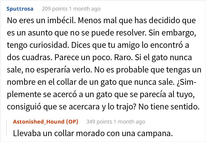 Esta mujer recibió su merecido tras echar de casa al gato de su novio mientras él no estaba