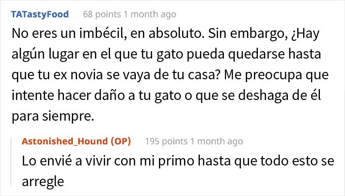 Esta mujer recibió su merecido tras echar de casa al gato de su novio mientras él no estaba