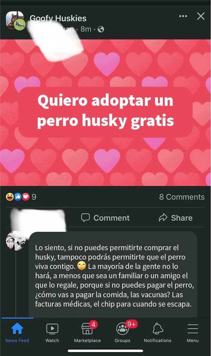 ¿Husky gratis?