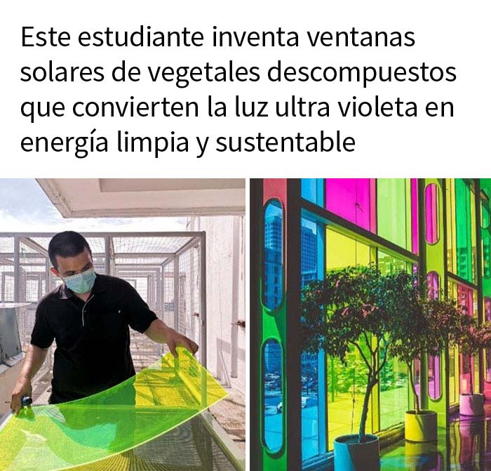 Aparato que transforma vegetales podridos en electricidad limpia y renovable