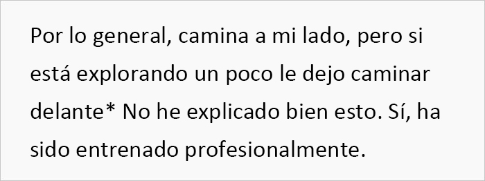 Esta vecina se coló en el patio de una mujer y se llevó su perro para regalárselo a una amiga, pero se molesta cuando la dueña va a recuperarlo