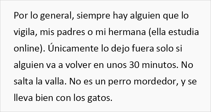 Esta vecina se coló en el patio de una mujer y se llevó su perro para regalárselo a una amiga, pero se molesta cuando la dueña va a recuperarlo