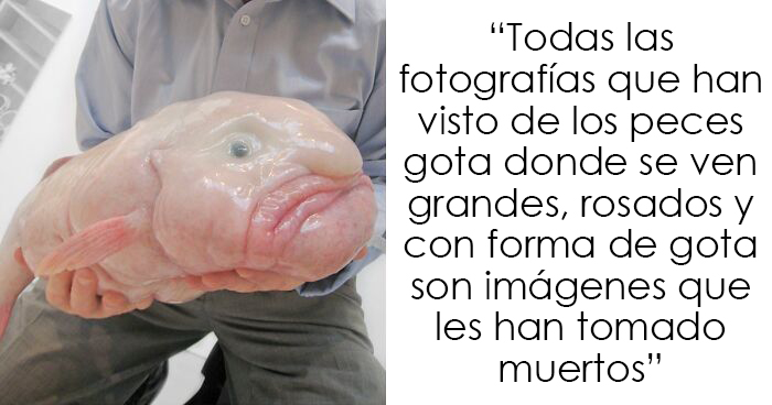 La gente comparte 25 datos nada divertidos que desearían no haber sabido