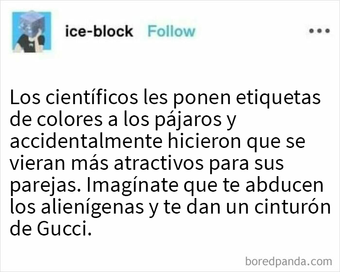 Imagínate que te abducen los alienígenas y te dan un cinturón de Gucci