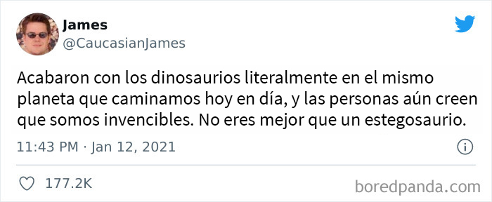 No eres mejor que un estegosaurio