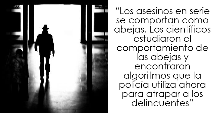 20 «Datos alucinantes» compartidos en esta página de Instagram