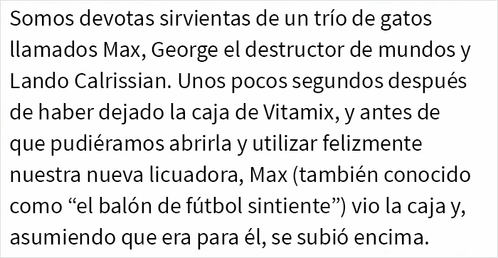 Tras una “guerra” de 2 semanas y media con 3 gatos, esta mujer contactó a Vitamix para pedirles cajas vacías que reemplazaran aquella que tomaron sus gatos