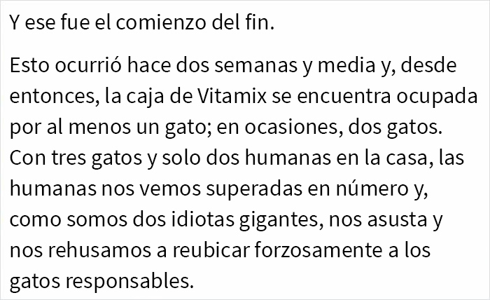 Tras una “guerra” de 2 semanas y media con 3 gatos, esta mujer contactó a Vitamix para pedirles cajas vacías que reemplazaran aquella que tomaron sus gatos