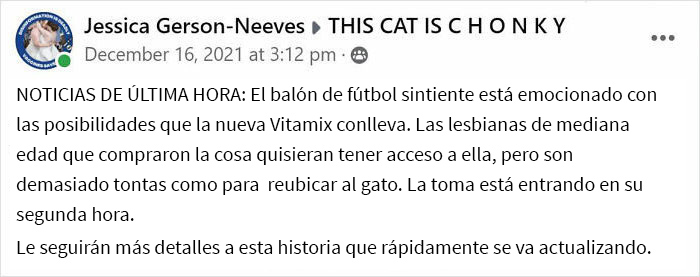 Tras una “guerra” de 2 semanas y media con 3 gatos, esta mujer contactó a Vitamix para pedirles cajas vacías que reemplazaran aquella que tomaron sus gatos