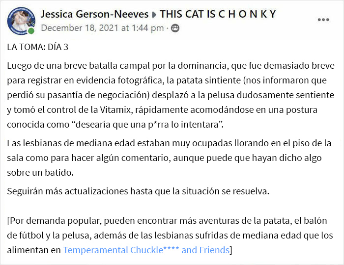 Tras una “guerra” de 2 semanas y media con 3 gatos, esta mujer contactó a Vitamix para pedirles cajas vacías que reemplazaran aquella que tomaron sus gatos