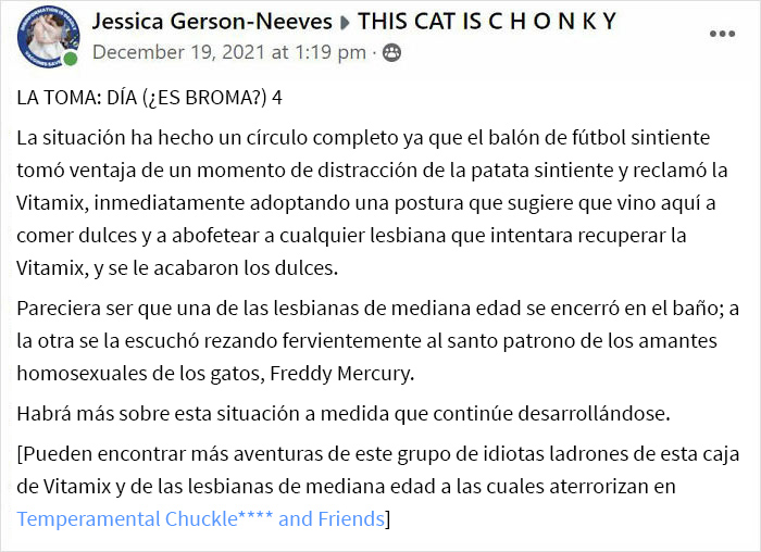 Tras una “guerra” de 2 semanas y media con 3 gatos, esta mujer contactó a Vitamix para pedirles cajas vacías que reemplazaran aquella que tomaron sus gatos