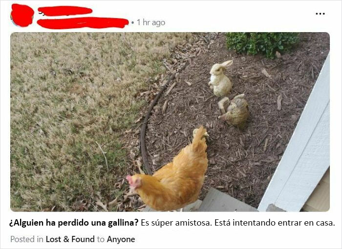  Porque Nextdoor no siempre es racista o de mal gusto, aquí hay algo más ameno