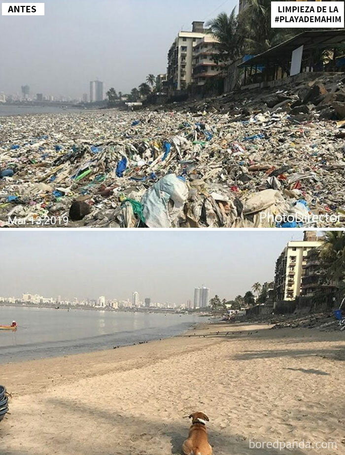 India está despertando: la Mahimbeachcleanup ha limpiado más de 700 toneladas de plástico de la playa