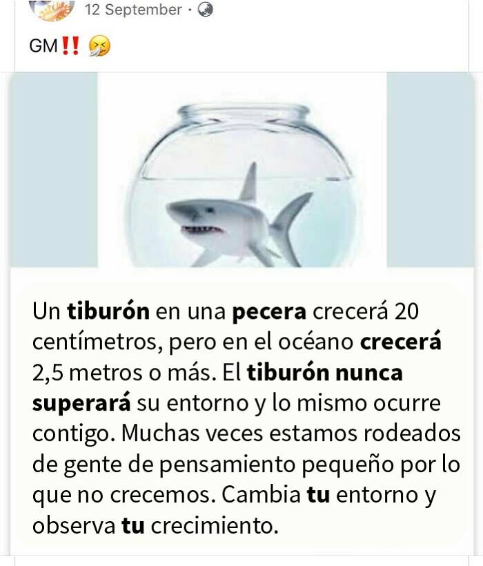 Tiburones pequeños porque la biología es irrelevante