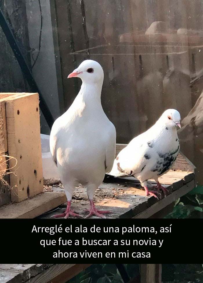 Cuando un acto de bondad crea una amistad para toda la vida