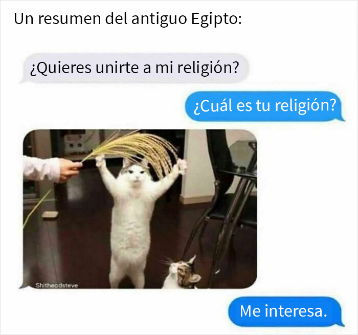 Tienen mi apoyo