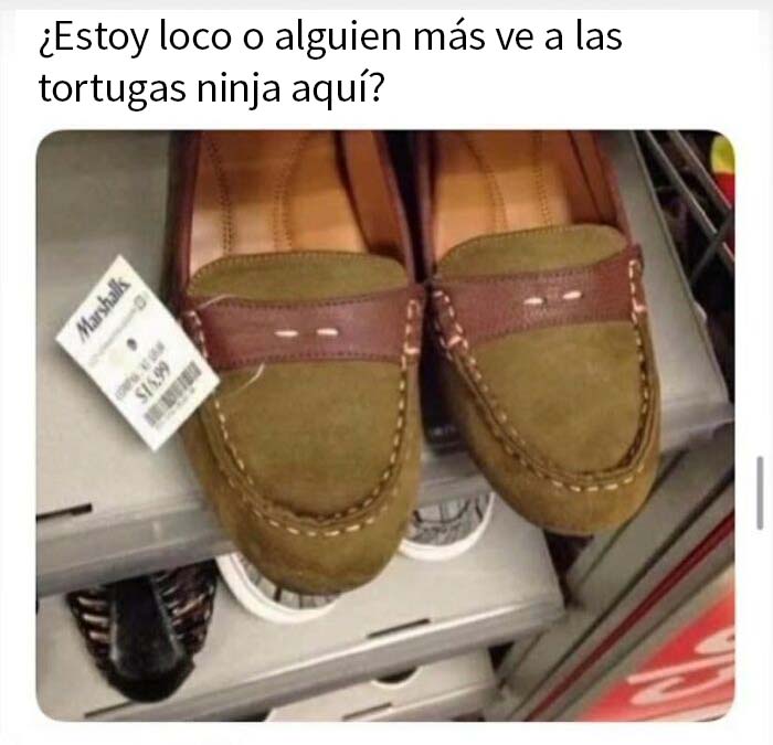 ¡Zapatos de tortuga ninja!