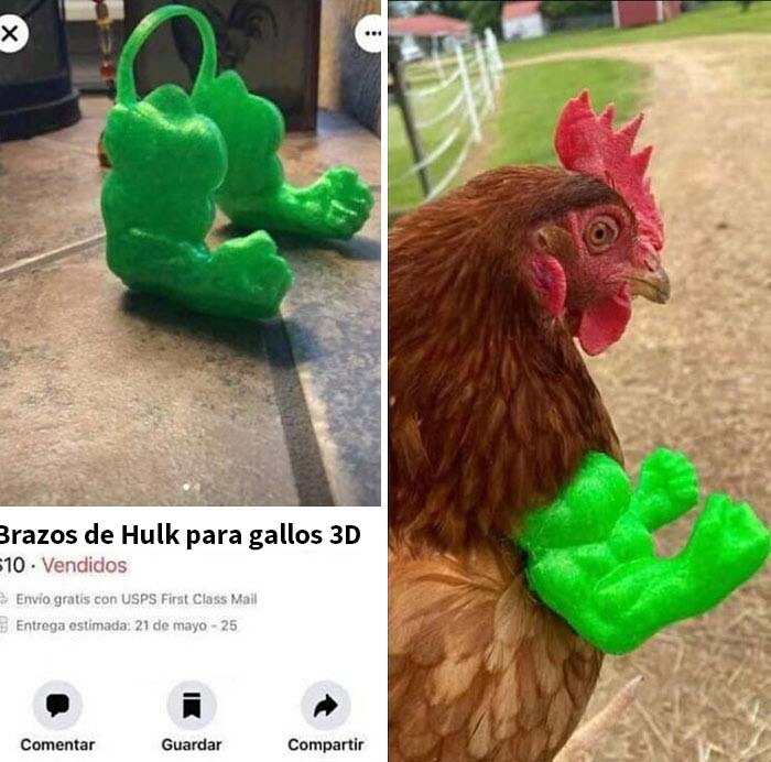 ¡Puñetazos de gallo!