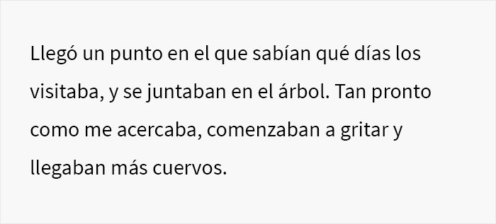 Esta persona vio cómo alguien se vengó de sus vecinos acosadores y descubrió que fueron los cuervos de los que se había hecho amiga previamente