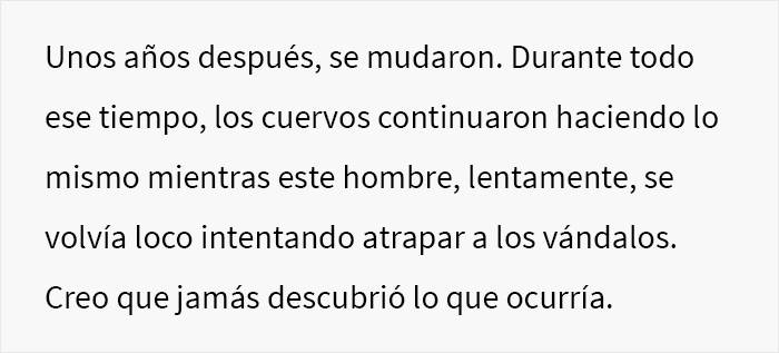 Esta persona vio cómo alguien se vengó de sus vecinos acosadores y descubrió que fueron los cuervos de los que se había hecho amiga previamente