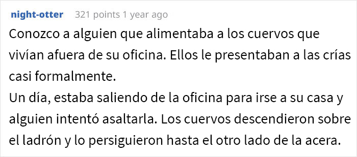 Esta persona vio cómo alguien se vengó de sus vecinos acosadores y descubrió que fueron los cuervos de los que se había hecho amiga previamente