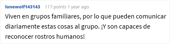 Esta persona vio cómo alguien se vengó de sus vecinos acosadores y descubrió que fueron los cuervos de los que se había hecho amiga previamente