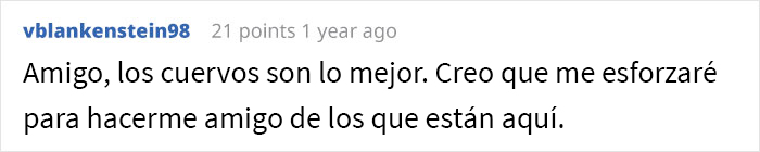 Esta persona vio cómo alguien se vengó de sus vecinos acosadores y descubrió que fueron los cuervos de los que se había hecho amiga previamente