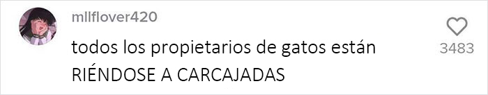 Estos caseros exigen a sus inquilinos que hagan una prueba de ADN a sus perros para averiguar quién no recoge las cacas