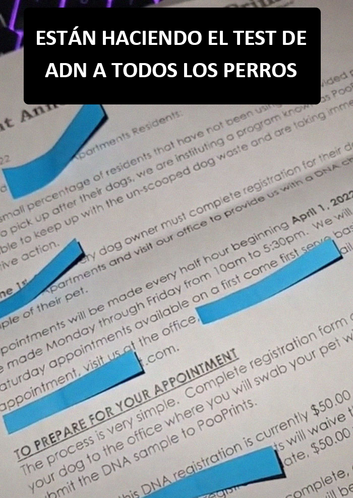 Estos caseros exigen a sus inquilinos que hagan una prueba de ADN a sus perros para averiguar quién no recoge las cacas