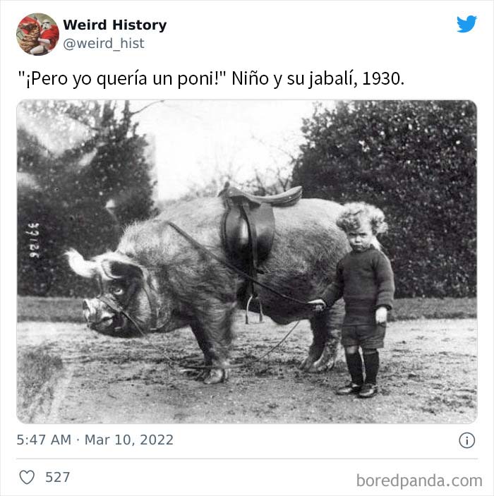 ‘Weird History’ Is An Account That Shares Interesting, Odd, And Funny Things That Happened And Here’s 50 Of Their Best Posts (New Pics)