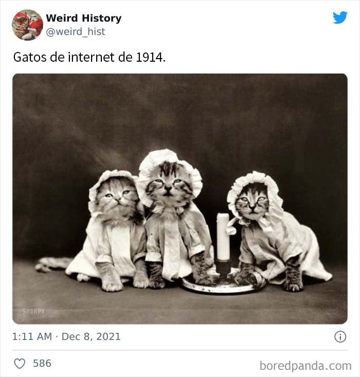 ‘Weird History’ Is An Account That Shares Interesting, Odd, And Funny Things That Happened And Here’s 50 Of Their Best Posts (New Pics)