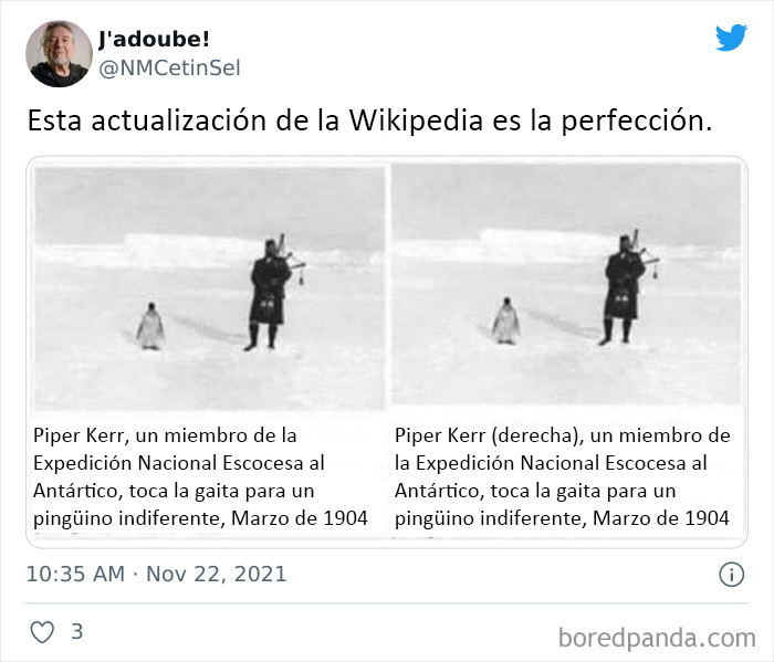 Pingüino indiferente (izquierda)