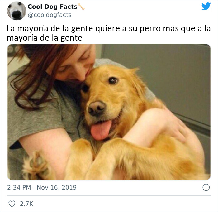 30 Tweets That Show Dogs Are Truly Man's Best Friends, Shared By This Twitter Account Dedicated To Cool Dog Facts