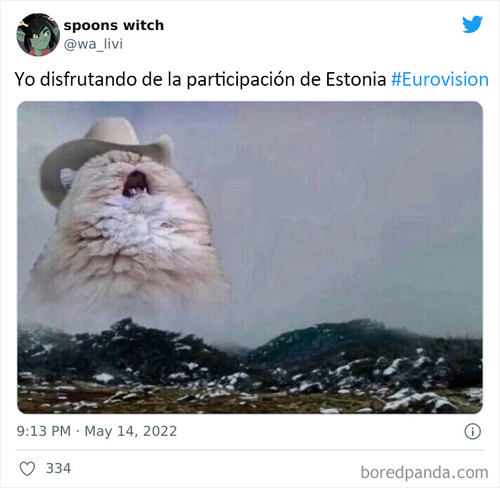 35 Of The Best Reactions And Memes About Eurovision 2022