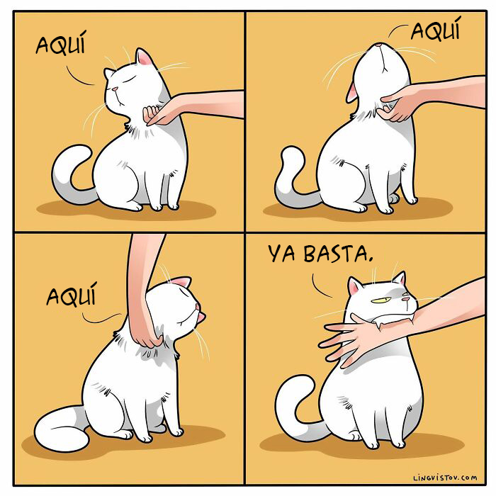 Artist Illustrates Funny Realities Of Living With A Cat (35 New Comics)