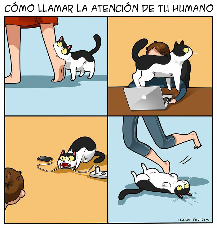 Artist Illustrates Funny Realities Of Living With A Cat (35 New Comics)