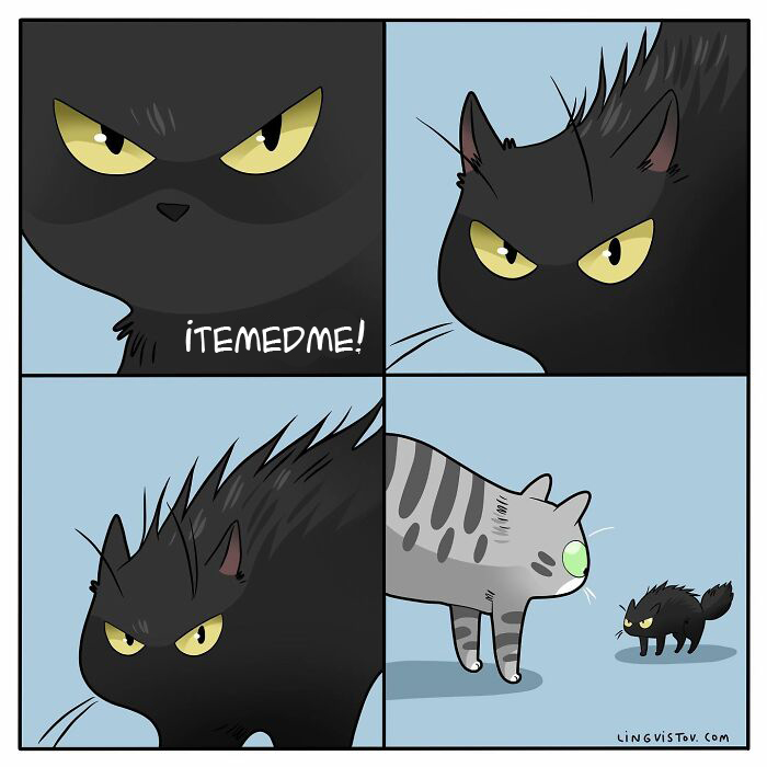 Artist Illustrates Funny Realities Of Living With A Cat (35 New Comics)