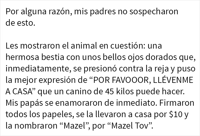 Estos padres adoptaron lo que resultó ser un híbrido de lobo y acabó siendo el perro más adorable de todos