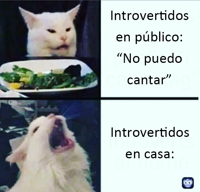 "Introvert Nation": 50 Of The Funniest And Most Relatable Memes From This Instagram Page