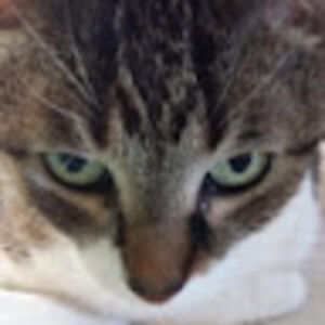 marnadal avatar