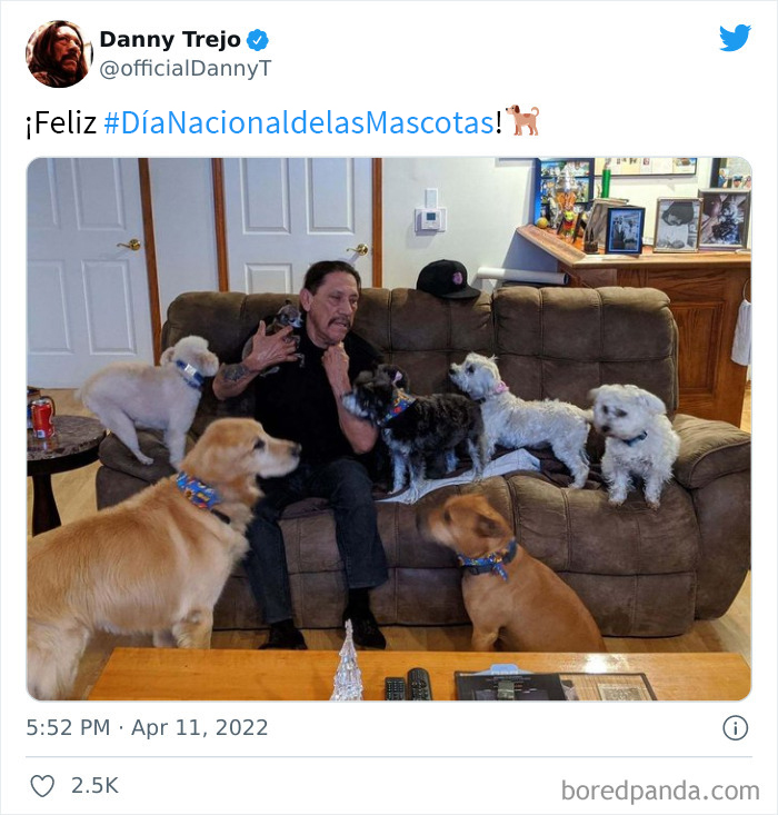 50 Of The Very Best Tweets From Celebrities