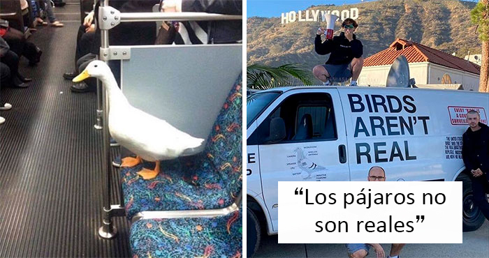 26 Fotos tan divertidas como confusas publicadas por la página «Imágenes que requieren más contexto» (nuevas fotos)