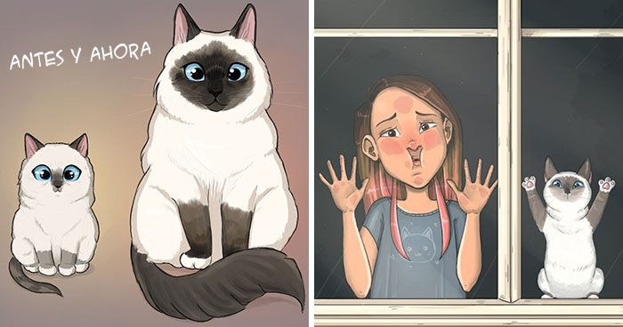 30 Ilustraciones que muestran cómo es tener un gato