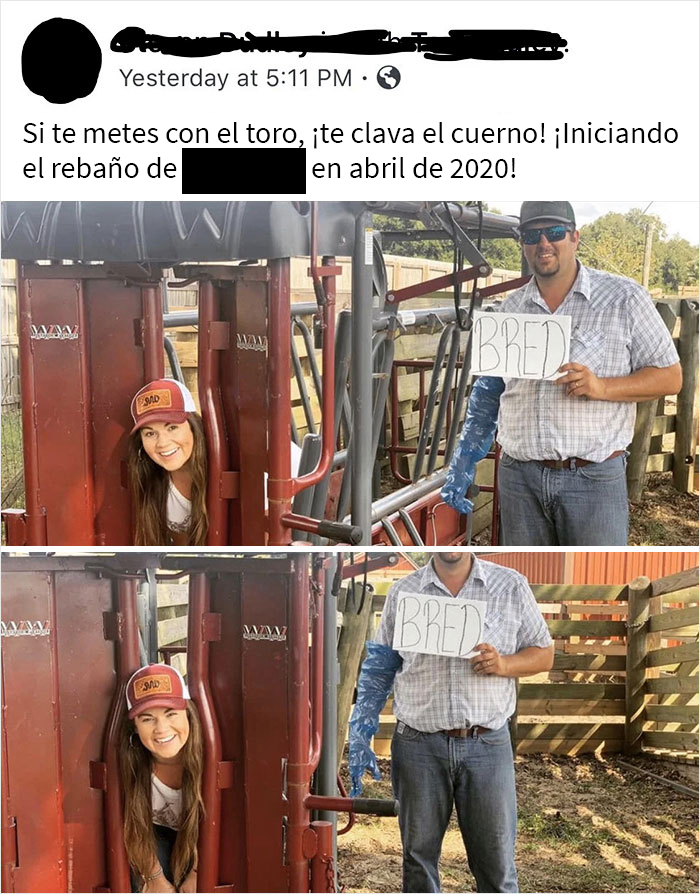 Qué rayos está ocurriendo aquí