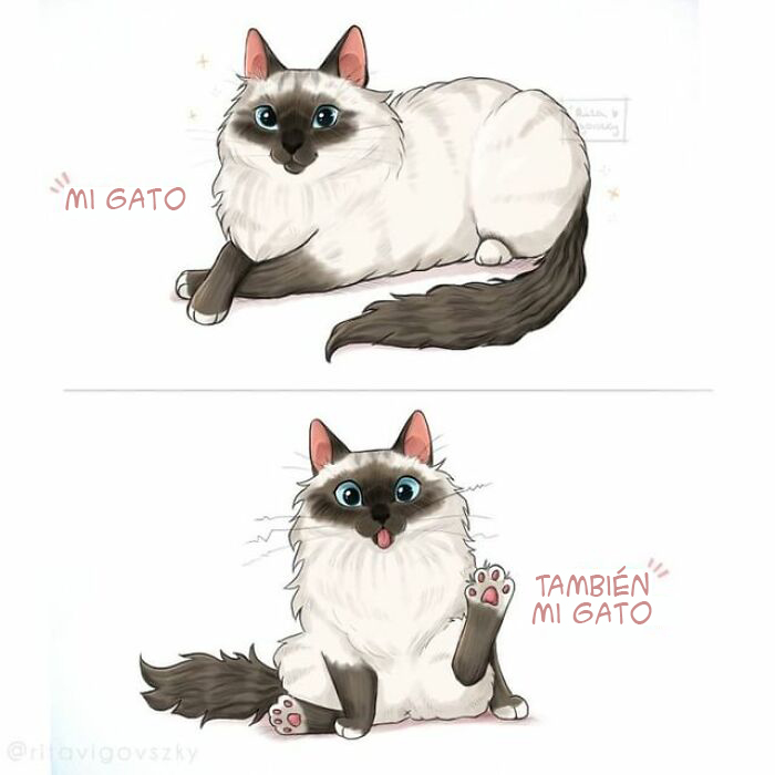 "What It's Like To Have A Cat": 40 Illustrations By This Artist (New Pics)