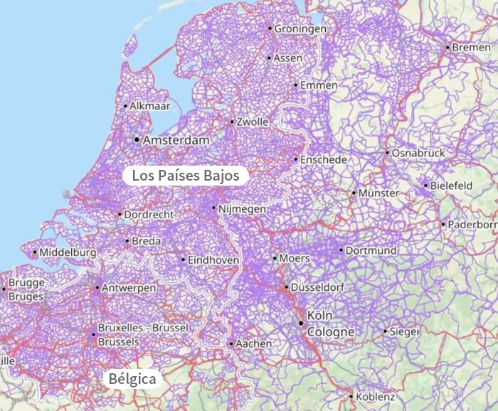 Cada línea púrpura es un carril para bicicletas en los Países Bajos