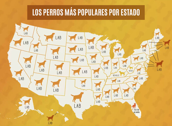 Los perros más populares por estado de los Estados Unidos...